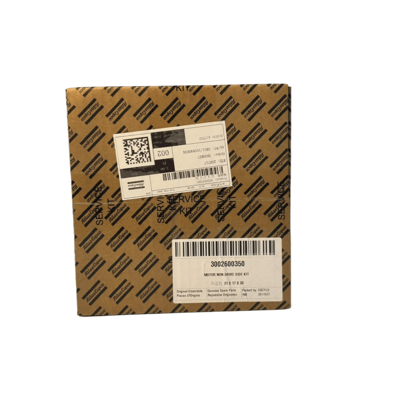 Asli 3002600350 Atlas Copco Motor Non Drive Side Kit Untuk Kompresor Sekrup Suntikan Minyak