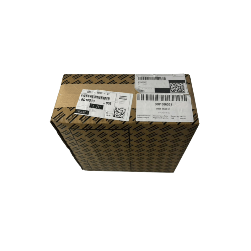 Asli 3001506301 Atlas Copco Compressor Gratis Periksa Kit Valve