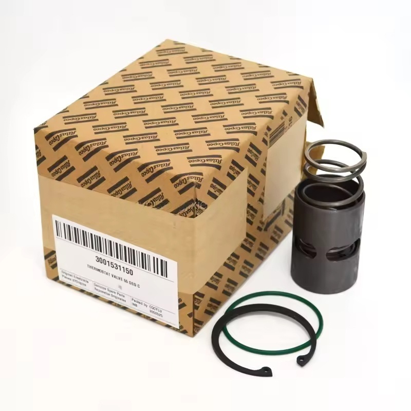 Atlas Copco asli 55 ° C Katup Kontrol Suhu 3001531150